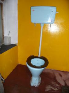 The world's tallest toilet is only five miles from the world's tallest peak!