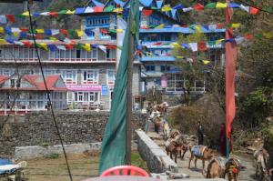 Prayer flags, big lodges and an unladen cargo donkey train that's returning to Lukla for another load                      